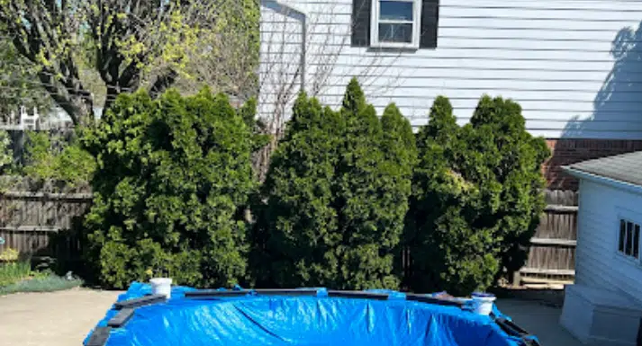 storm-damaged trees before removal in Troy, MI