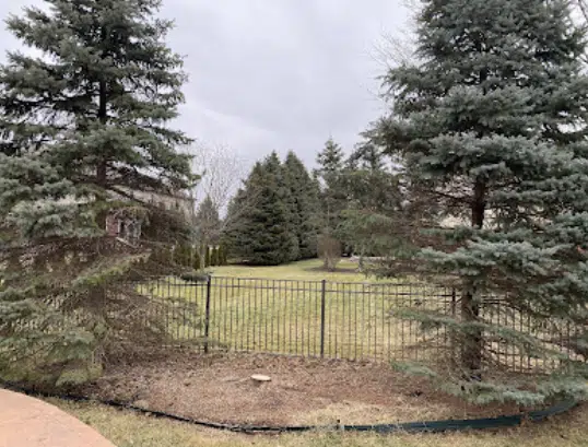 A lot after emergency tree removal in Farmington Hills, MI