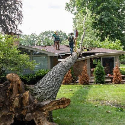 Team members during emergency tree removal in Oakland County, MI
