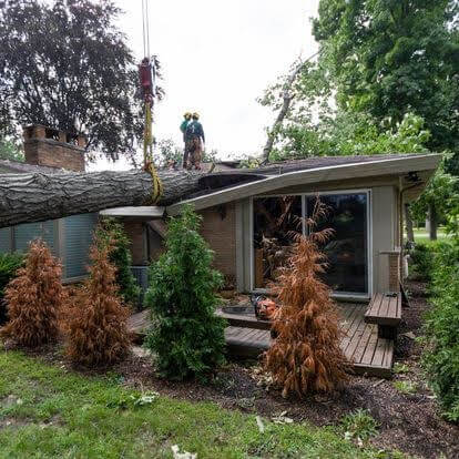 A crane lifting during emergency tree service in Oakland County, MI