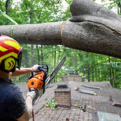 A team member during emergency tree service in Oakland County, MI