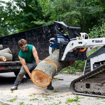 A team member during emergency tree service in Oakland County, MI