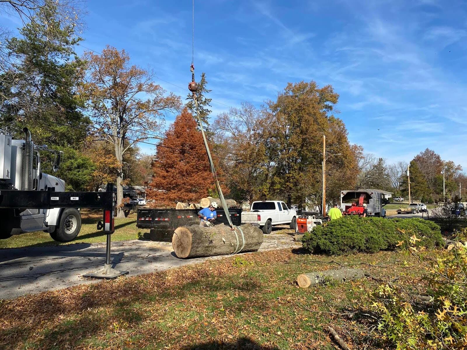 how jcs tree service provided prompt tree removal for an oakland county homeowner