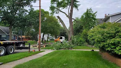 Team members during a tree removal in Troy, MI