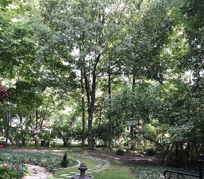 Tree Trimming Services in Royal Oak