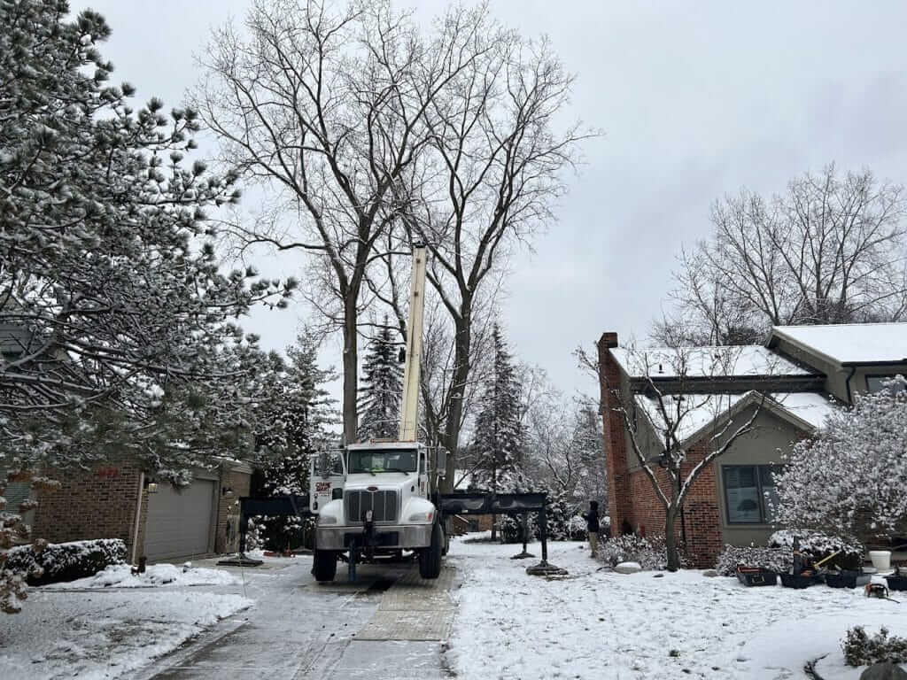 A truck before a tree removal in Troy, MI