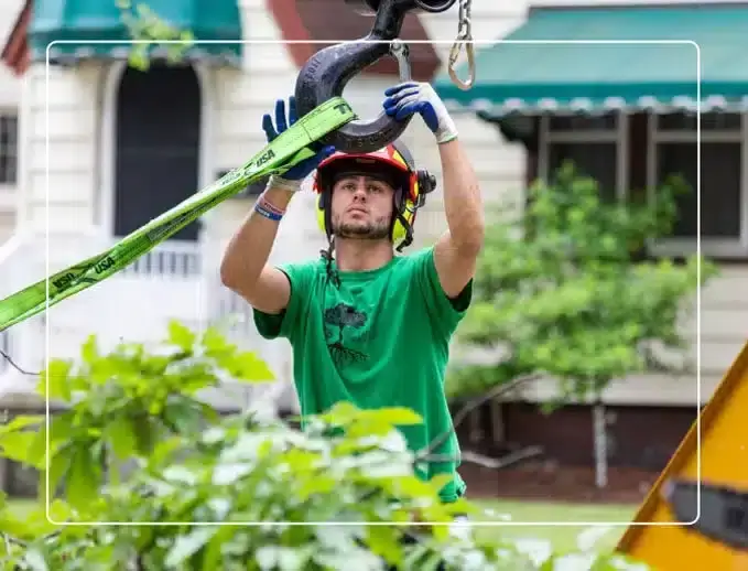 About JCS Tree Care | Metro Detroit Arborists