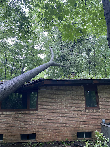 Emergency Tree Removal in Troy, Michigan: JCS Tree Care Professionals Assists After Oak Crashes Into Roof