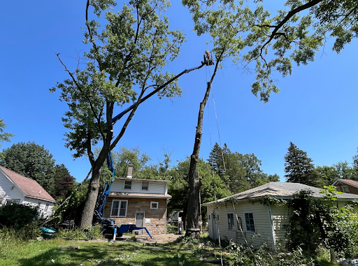 JCS Tree Care Professionals Provides Storm Damage Debris Removal for a Homeowner in Royal Oak, MI