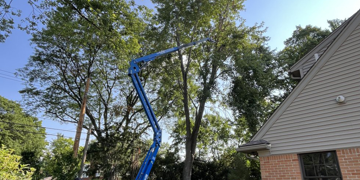 benefits of trimming trees